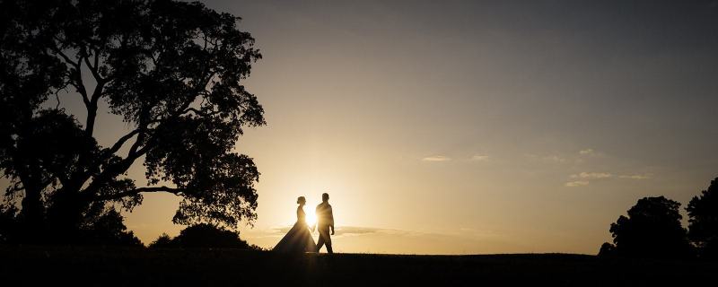 Braxted Park Recommended Supplier