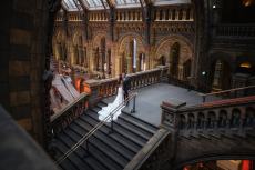 Natural History Museum Wedding