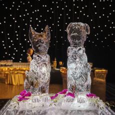 Natural History Museum Wedding