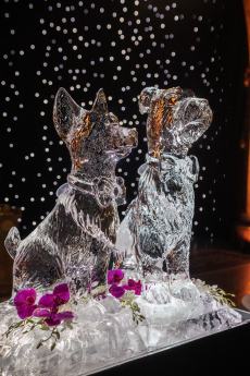Natural History Museum Wedding