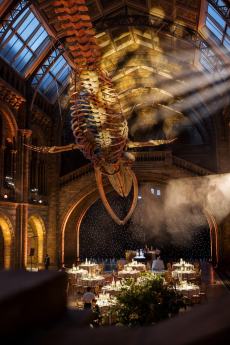 Natural History Museum Wedding