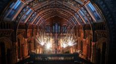 Natural History Museum Wedding
