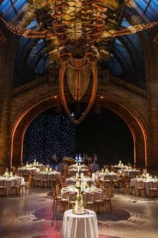 Natural History Museum Wedding