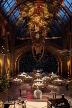 Natural History Museum Wedding