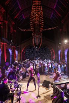 Natural History Museum Wedding